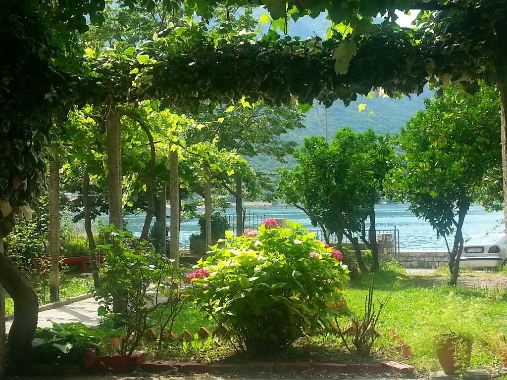 Apartments Vido Kotor Pokoj fotografie
