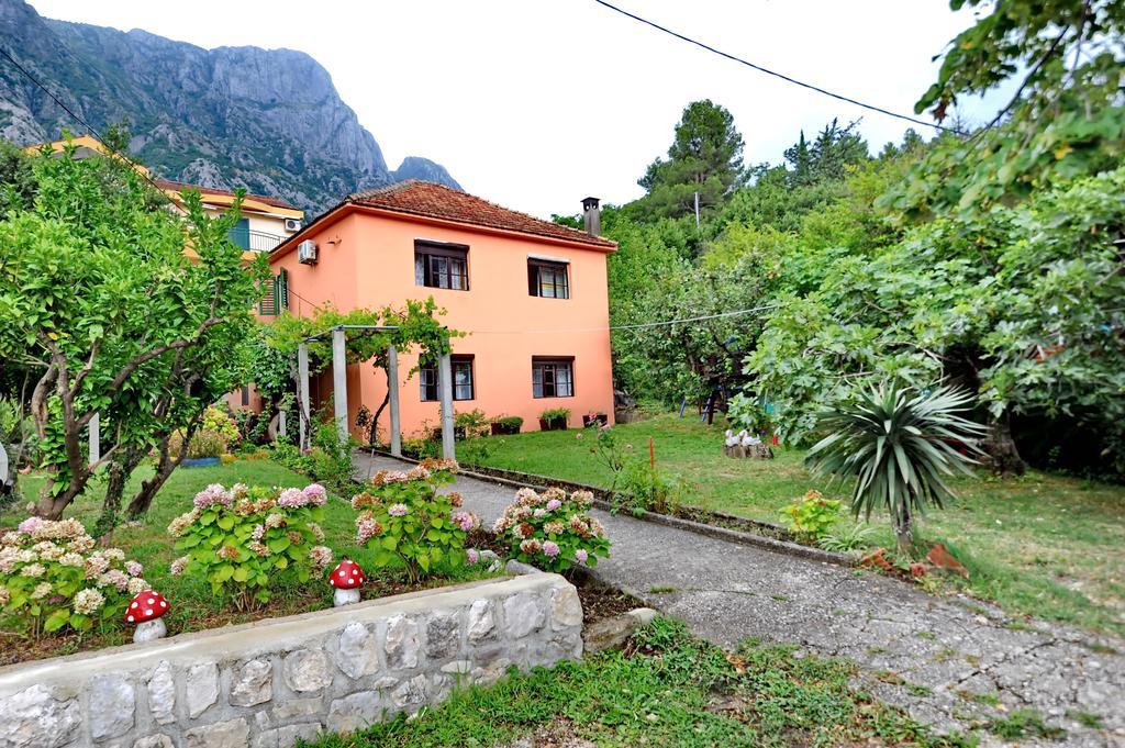 Apartments Vido Kotor Exteriér fotografie