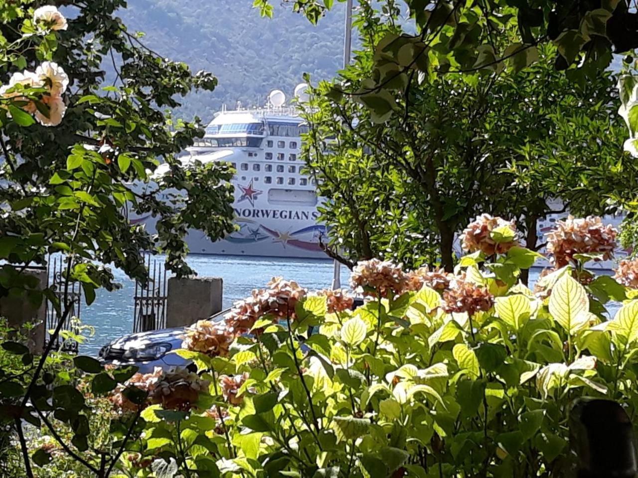 Apartments Vido Kotor Exteriér fotografie